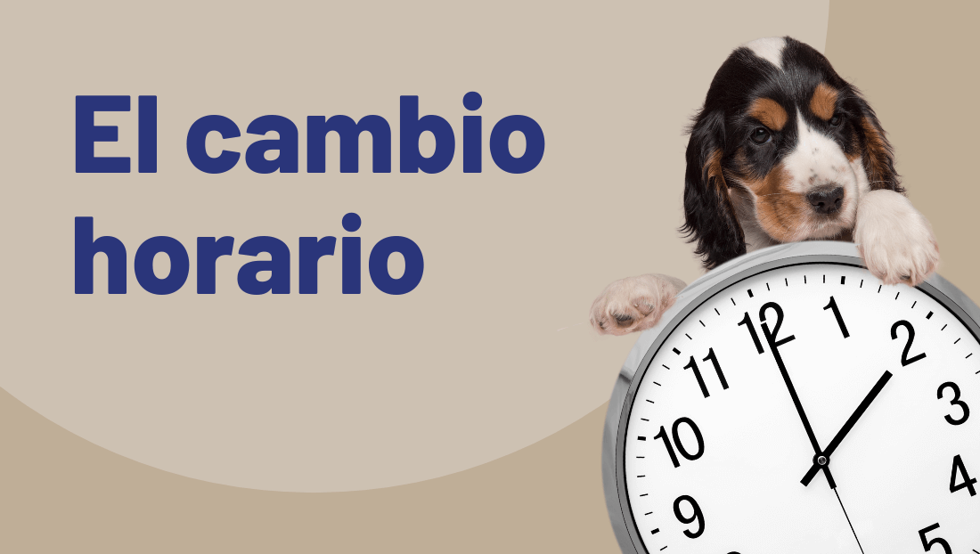 Post del blog de veterinari del clinic cambio de horario